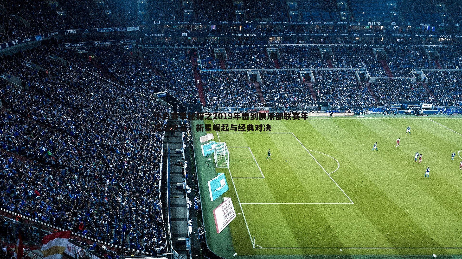 小白赛事秘籍之2019年击剑俱乐部联赛年度总决赛，新星崛起与经典对决